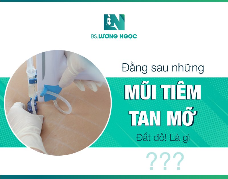 những hình ảnh từ béo hóa gầy